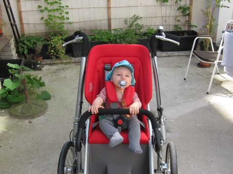 Taga with a young passenger in buggy seat