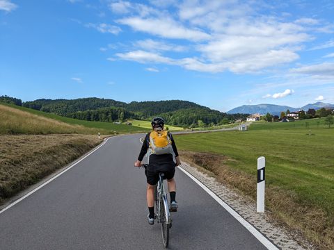 Emu at top of the last hill before Hallein. Small road, some scattered houses, green grass and a blue sky.