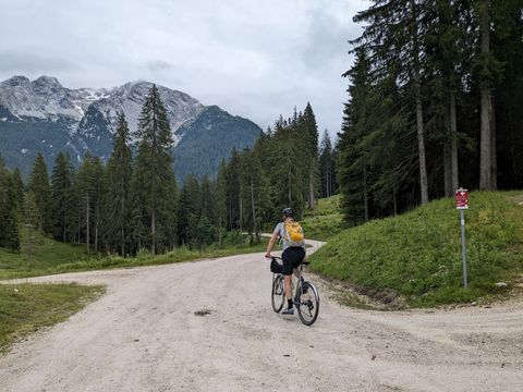 Emu rolling over the summit on Hirschbichl pass. Mountains and trees in the background.