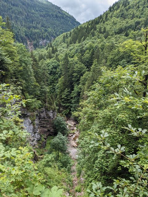 Look into a narrow valley on the way up to Postalm.